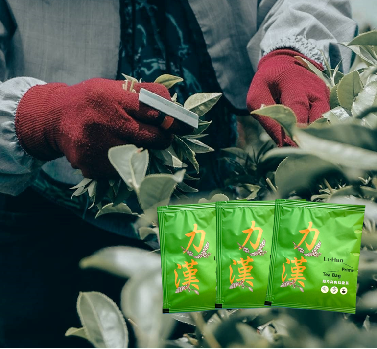 力漢高海拔精選烏龍茶包 袋裝 (50包入)